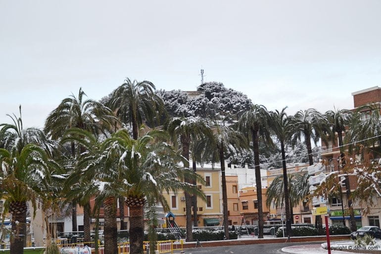 Palmeras Explanada Cervantes con nieve