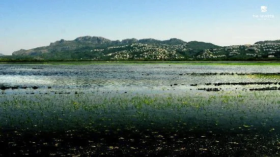 parc natural la marjal