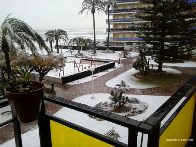 Estampa de Dénia tras la intensa nevada caída a primera hora de la mañana 80 urbanizacion la naranja