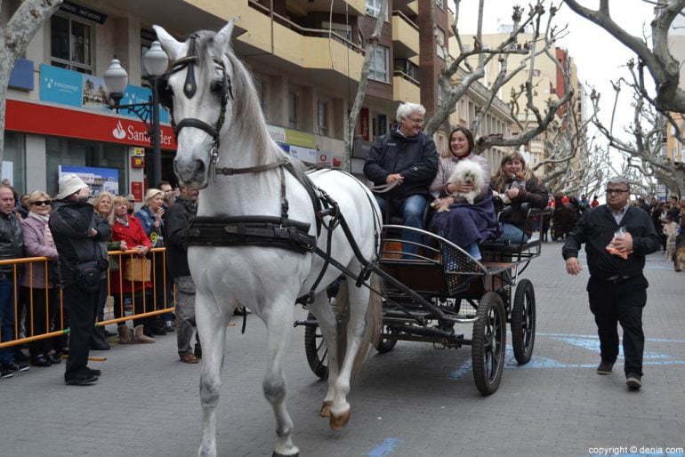 Blessing of animals in Dénia 2017