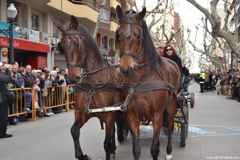 Bendición de animales en Dénia 2017