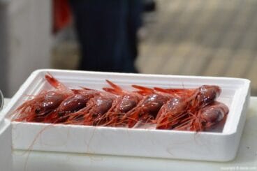 6º Concurso Internacional de Cocina Creativa de la Gamba Roja de Dénia – Gamba