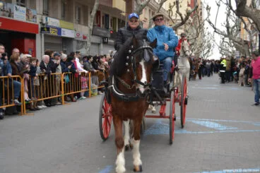 Bendición de animales en Dénia 2017