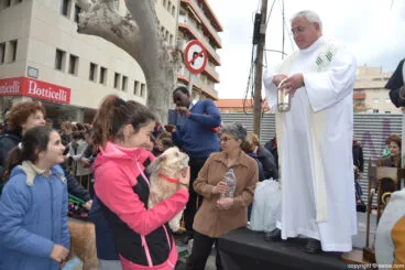 Bendición de animales en Dénia 2017