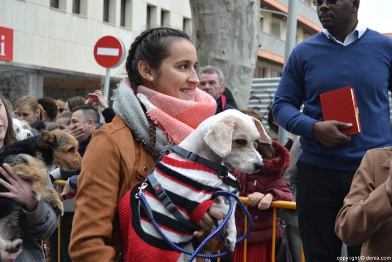 Bendición de animales en Dénia 2017