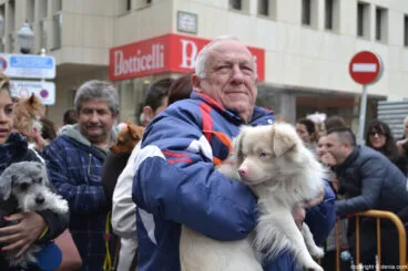 Bendición de animales en Dénia 2017