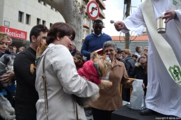 Bendición de animales en Dénia 2017