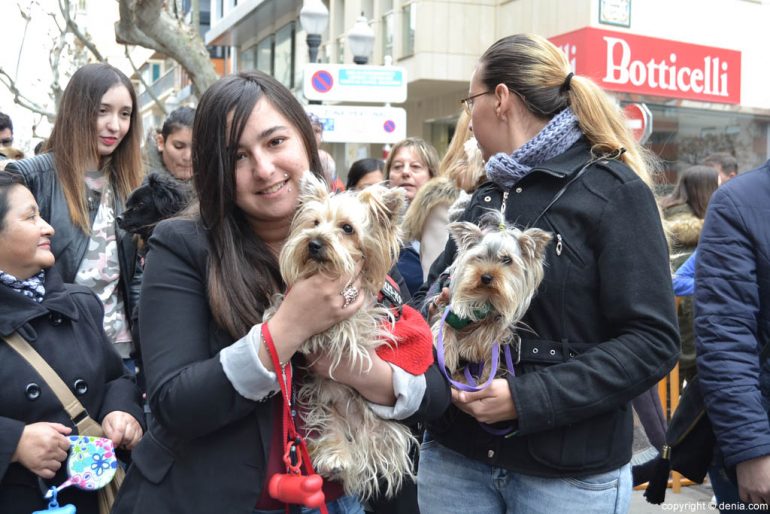 Blessing of animals in Dénia 2017