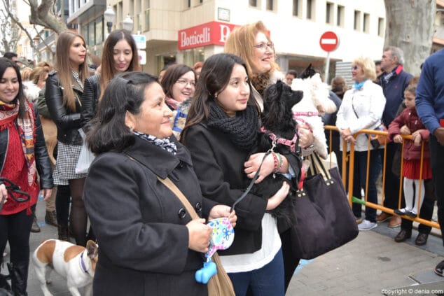 21 bendicion de animales en denia 2017
