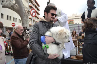 Bendición de animales en Dénia 2017