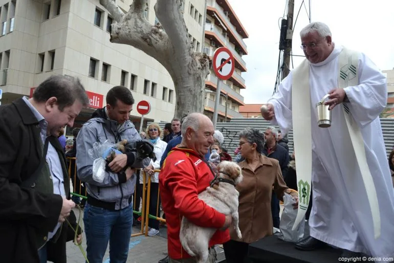 Bendición de animales en Dénia 2017