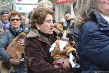 Bendición de animales en Dénia 2017