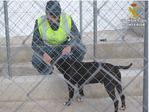 agentes de la guardia civil con los perros peligrosos