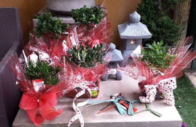 farolets san valentin natura garden