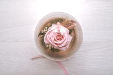 Rosa preservada en cúpula de cristal que sortea Bodas y Flores