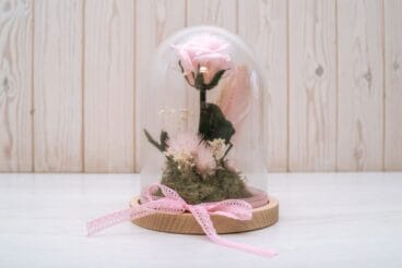 Rosa preservada que sortea Bodas y Flores