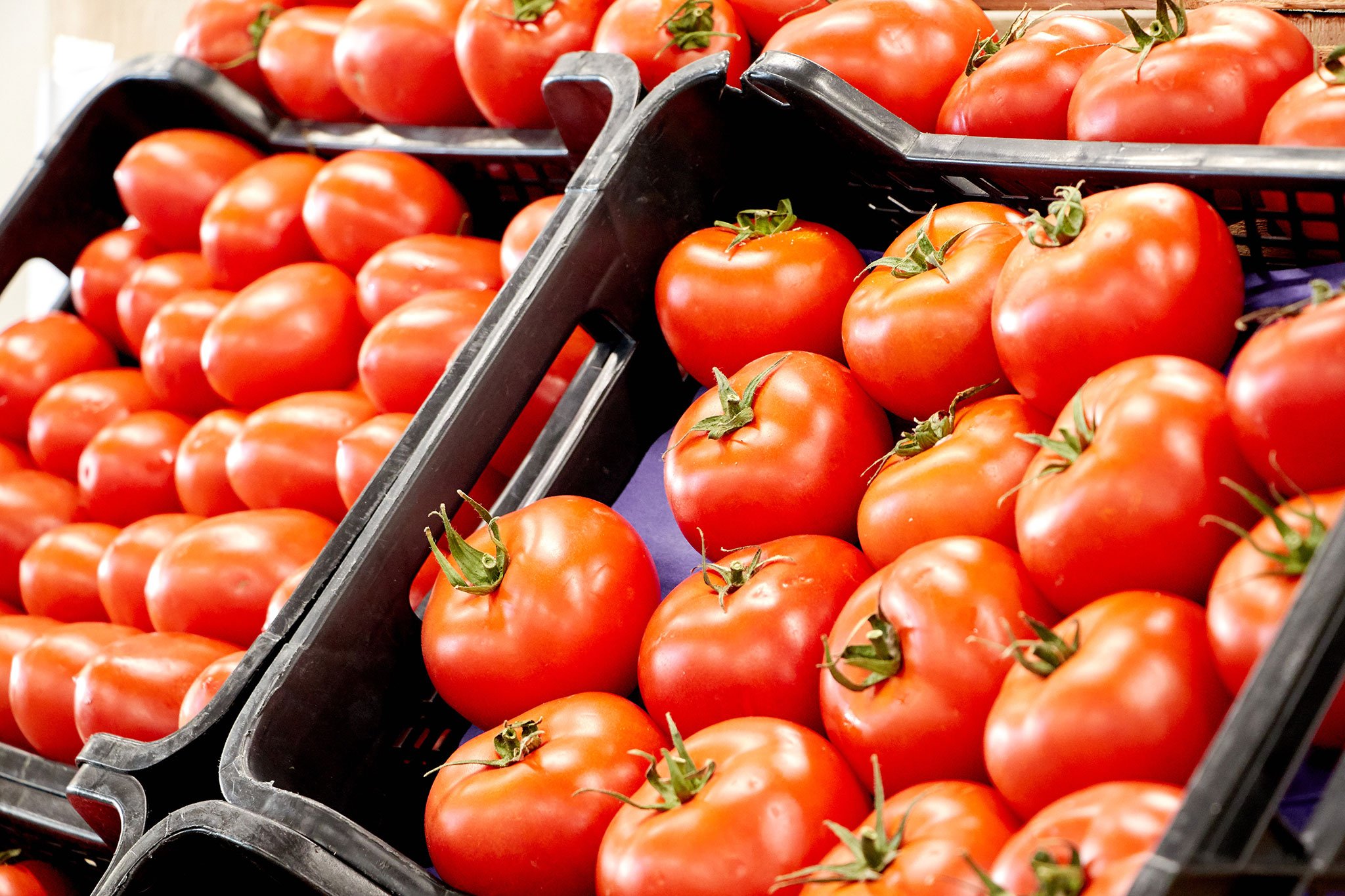 Tomates en La Nau d’Orozco – Frutas y verduras Orozco