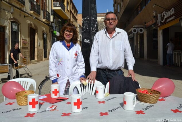 17 dia de la banderita denia 2016 voluntarios
