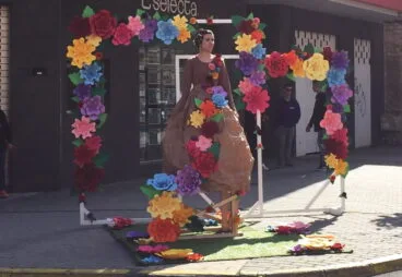 bando falla saladar