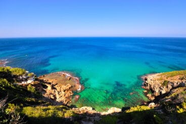 denia participa en el salon medsea