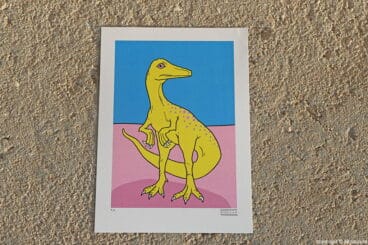 Ilustración dinosaurio San i Vila