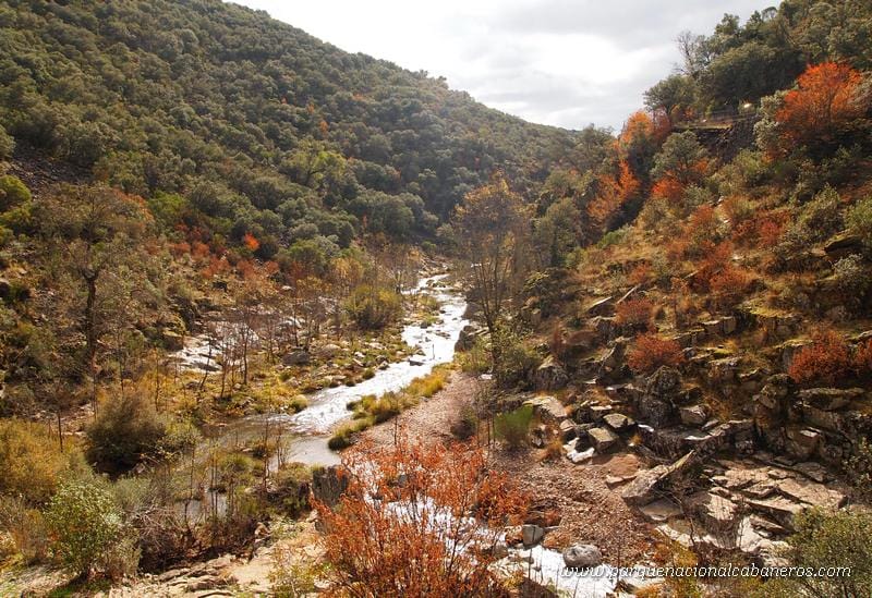 Organizan un campamento de inmersión lingüística para este verano en Ciudad Real 1 parque nacional de cabaneros