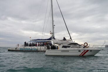 X Salón Náutico Dénia – suelta de tortuga