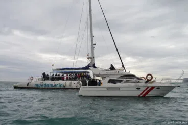 X Salón Náutico Dénia – suelta de tortuga