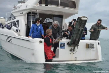 X Salón Náutico Dénia – suelta de tortuga