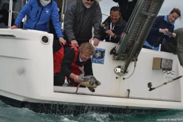 X Salón Náutico Dénia – suelta de tortuga