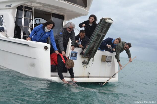 20 x salon nautico denia suelta de tortuga