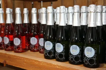 Bahía Bodegas Xaló