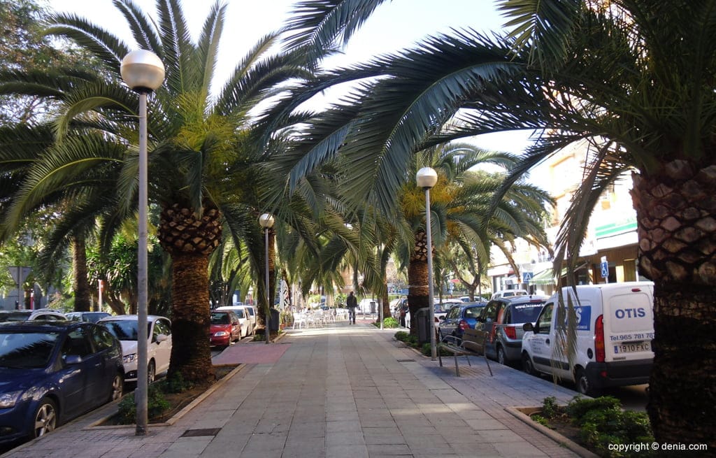 El Paseo del Saladar cambia su actual alumbrado por luces ledes 1 farolas del paseo del saladar