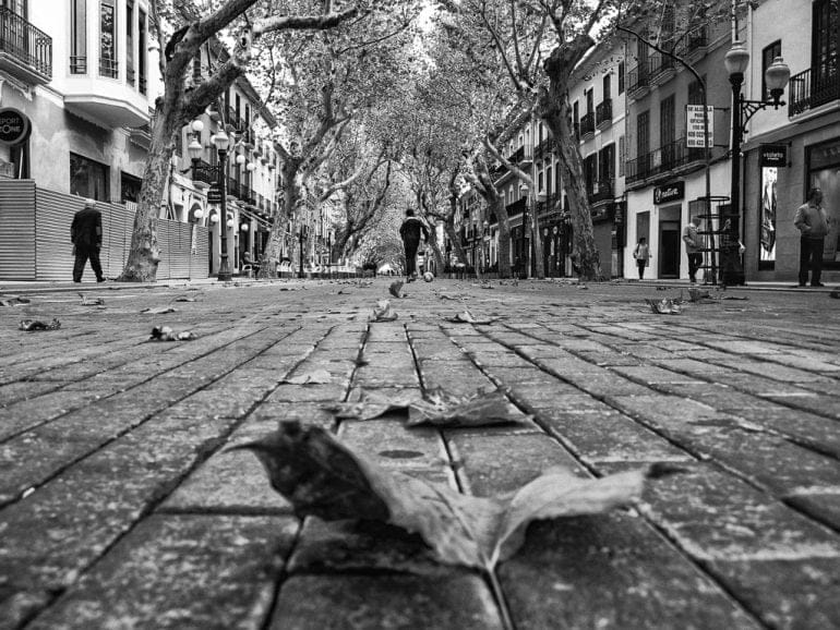 Otoño en calle Campos - segundo premio categoría artística