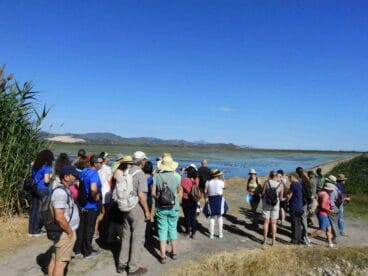 Celebración del Día de las Aves Migratorias