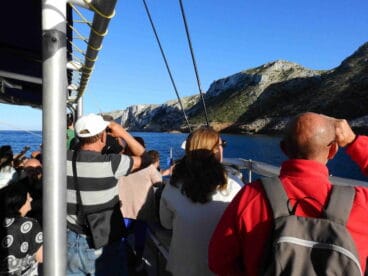 celebracion del dia mundial de las aves migratorias