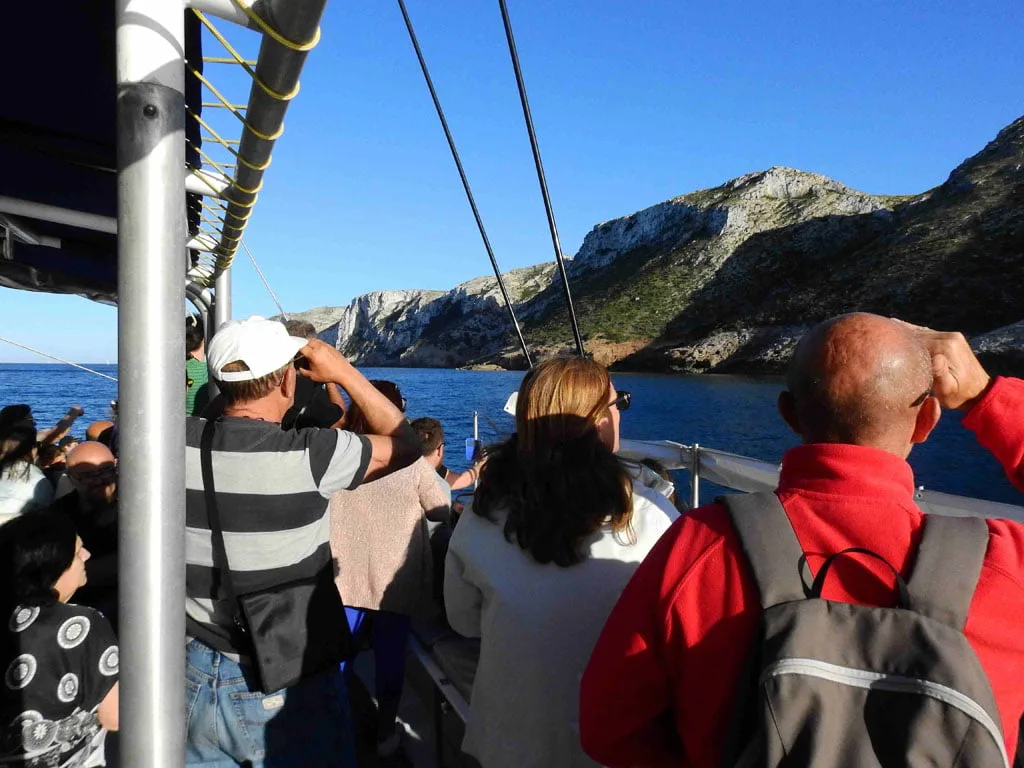 celebracion del dia mundial de las aves migratorias