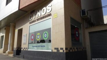 cynos clinica veterinaria