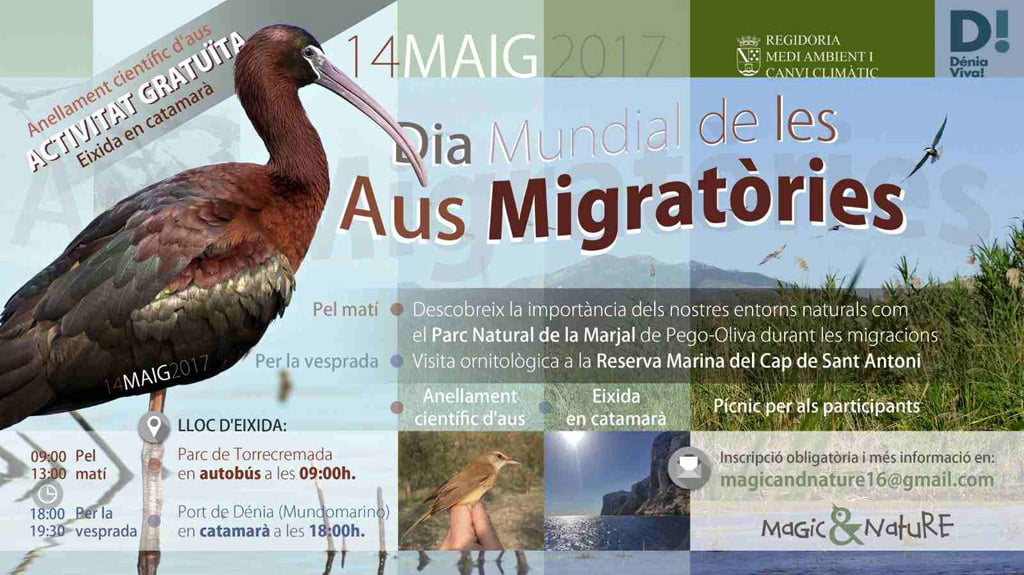 dia mundial de las aves migratorias denia 2017