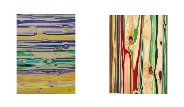 exposicion de andrea ordonez