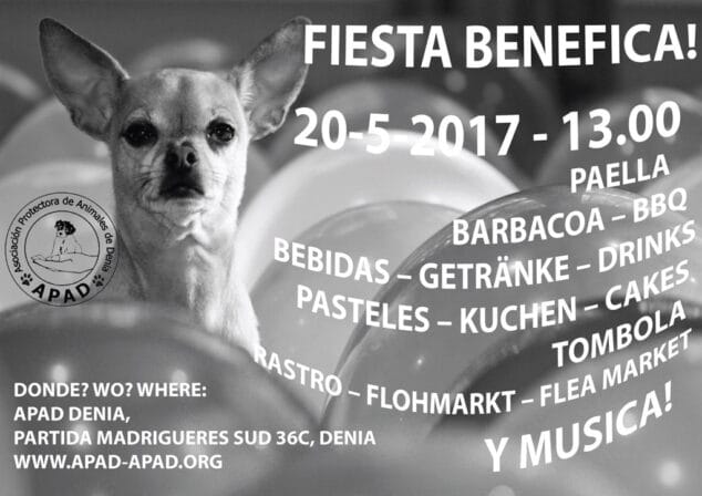 fiesta benefica apad denia
