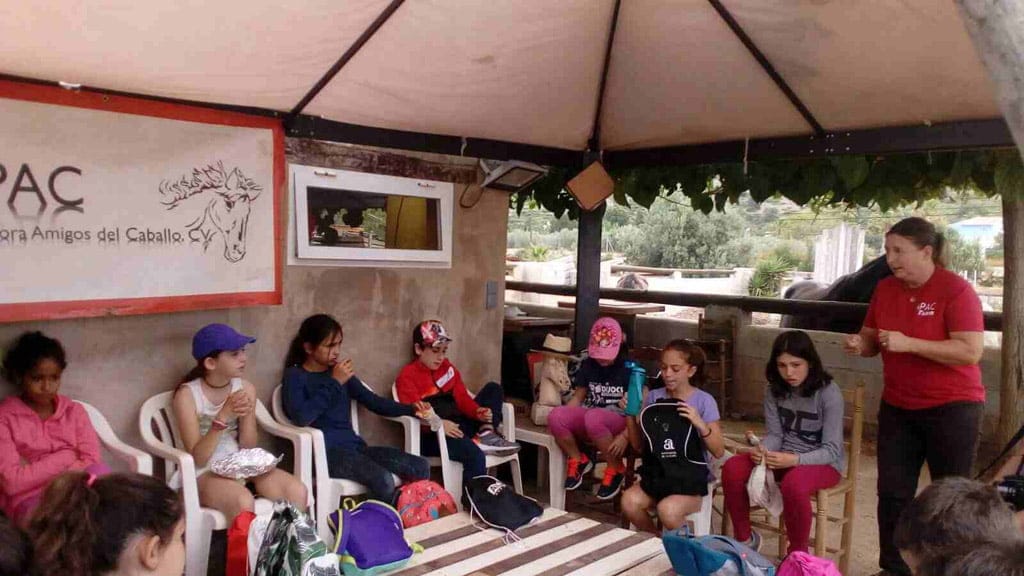 Los escolares de Dénia conocen los entresijos del refugio de caballos APAC 2 visita de escolares de denia a apac