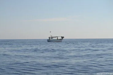 Dénia Pesca Turisme – Barco de pesca Fliper en Dénia