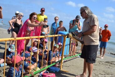 Suelta de tortuga marina en la playa de Dénia – escolares viendo la tortuga