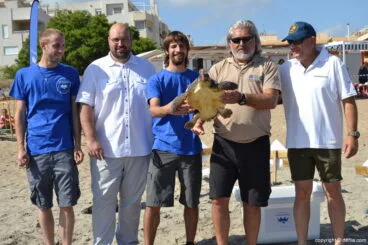 Suelta de tortuga marina en la playa de Dénia – equipo ARCA del Mar