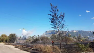 Avioneta en el incendio de Les Marines