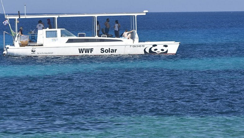 barco wwf solar