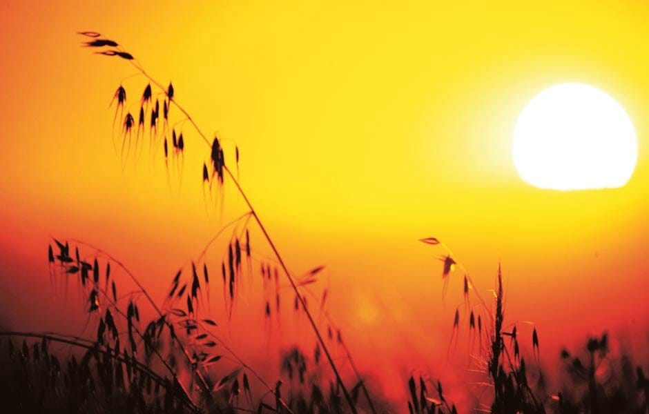 Ola de calor y vientos fuertes obligan a extremar la precaución en la Marina Alta 1 calor