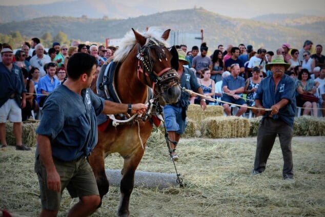 iv festa del batre de jesus pobre