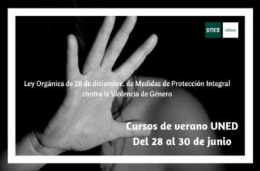 ley organica de 28 de diciembre de medidas de proteccion integral contra la vdg